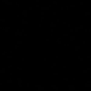 Meet your Posher, Valentina